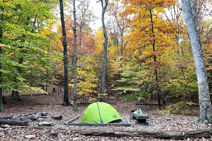 Crampton Gap Campsite Picture 8