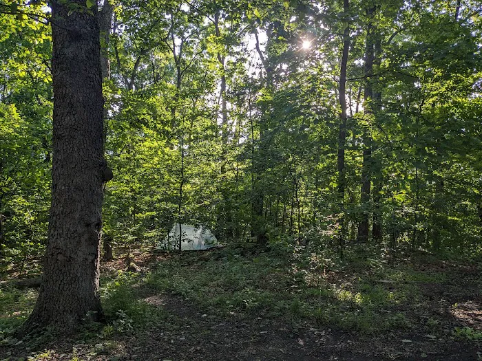 Crampton Gap Campsite Picture 9