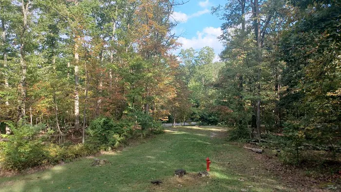 Dogwood Campground Picture 8