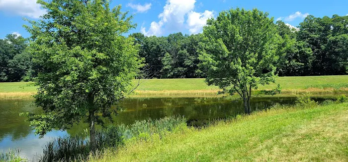 Dogwood Campground Picture 2