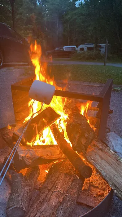 Cedar Campground Picture 8