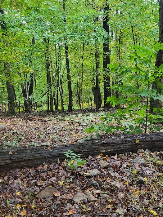 Cedar Campground Picture 3