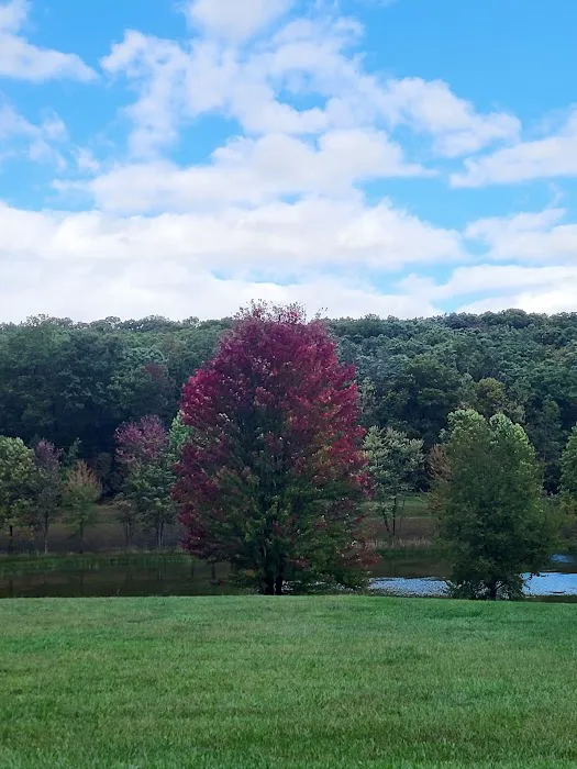 Cedar Campground Picture 1