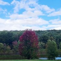 Cedar Campground ico