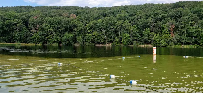 Birch Campground Picture 7