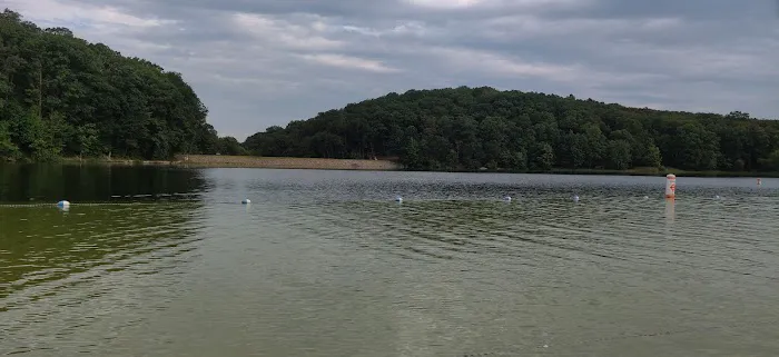 Birch Campground Picture 6