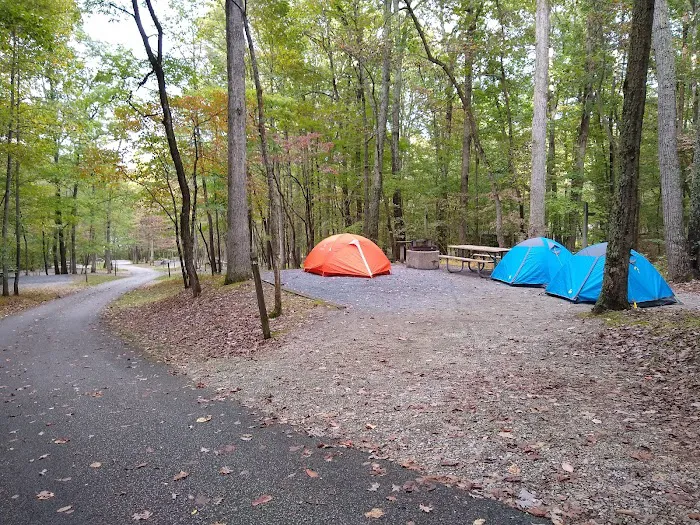 Ash Campground Picture 7