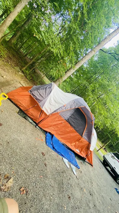 Ash Campground Picture 6