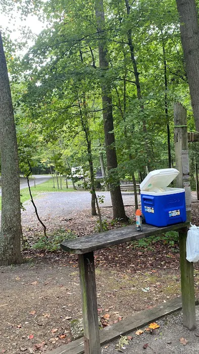 Ash Campground Picture 5