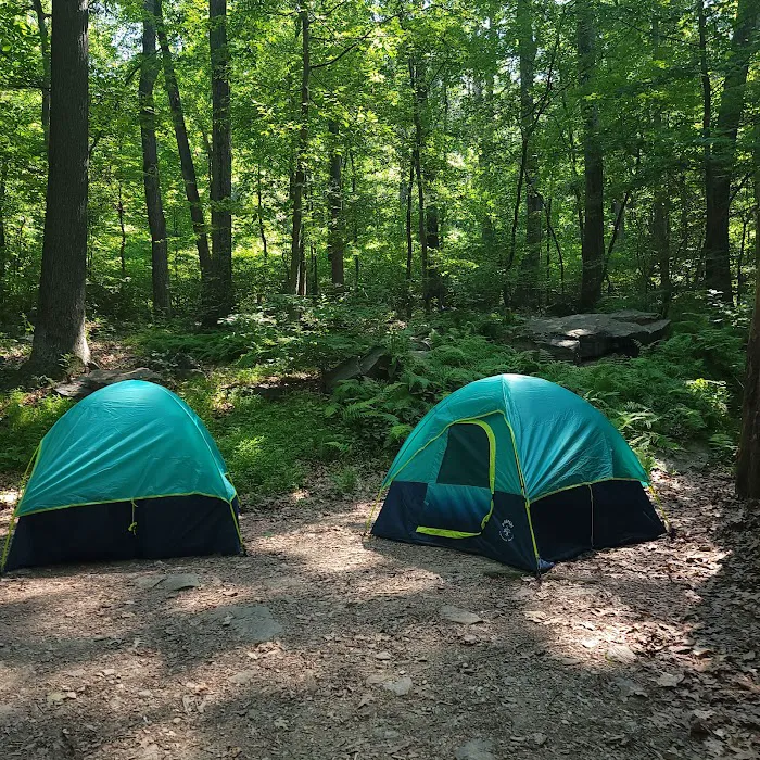 The Treehouse Camp At Maple Tree LLC Picture 5