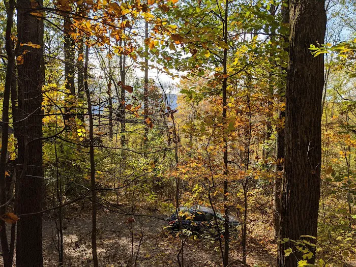 The Treehouse Camp At Maple Tree LLC Picture 1