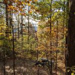 The Treehouse Camp At Maple Tree LLC