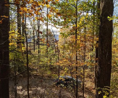 The Treehouse Camp At Maple Tree LLC