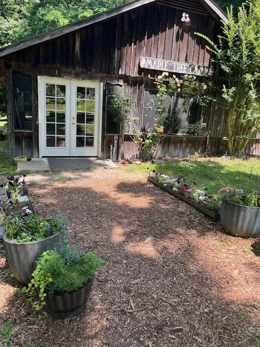 The Treehouse Camp At Maple Tree LLC Picture 10