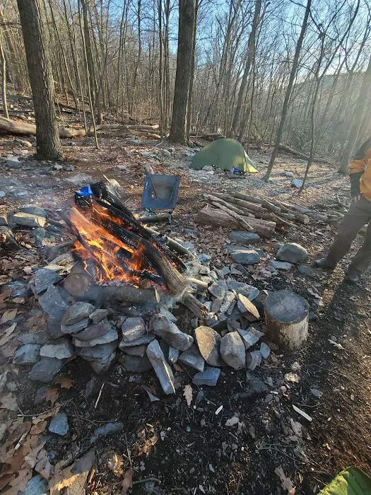 Pogo Memorial Campsite Picture 9