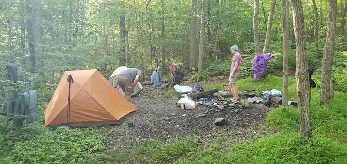 Pogo Memorial Campsite Picture 3