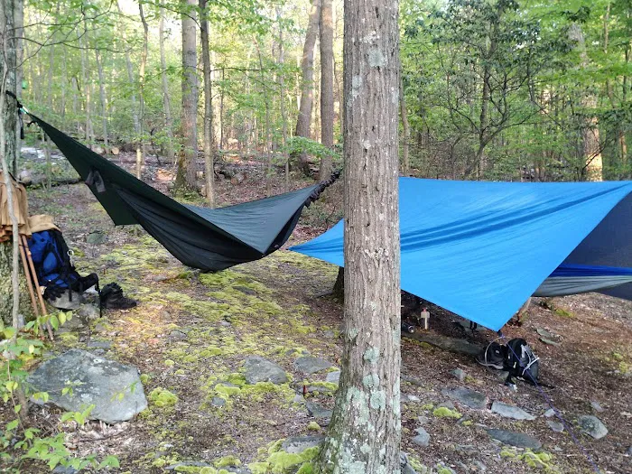 Pogo Memorial Campsite Picture 7