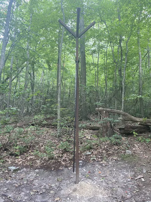 Pogo Memorial Campsite Picture 2