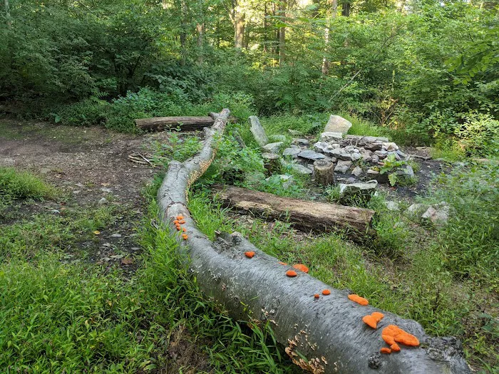 Pogo Memorial Campsite Picture 10