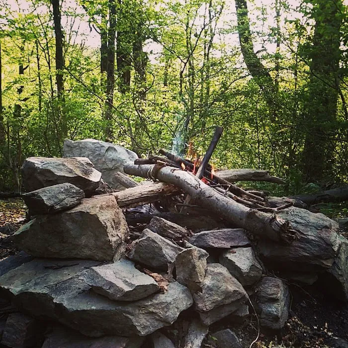 Pogo Memorial Campsite Picture 6