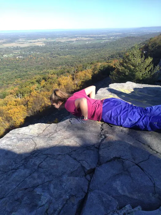 Pogo Memorial Campsite Picture 4