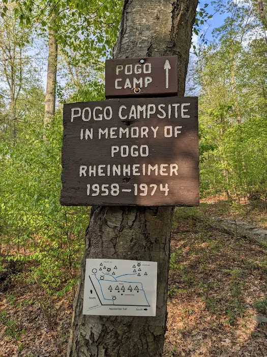 Pogo Memorial Campsite Picture 5
