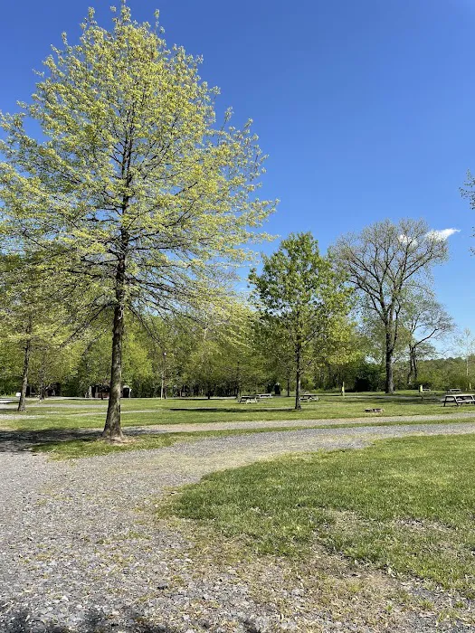 Brunswick Family Campground Picture 5