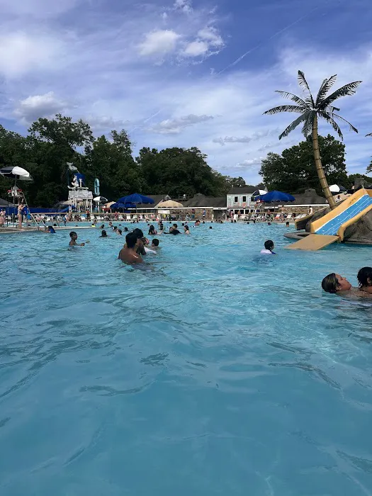 Bull Run Campground Picture 5