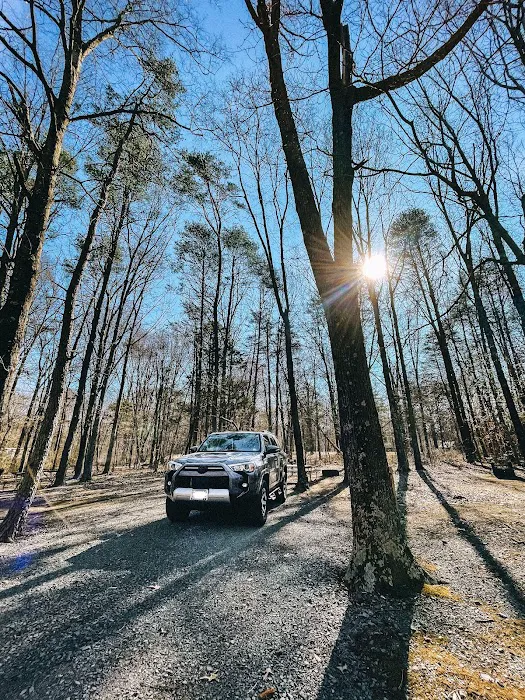 Bull Run Campground Picture 3