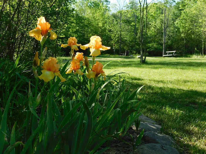 Cherry Hill Campground Picture 2