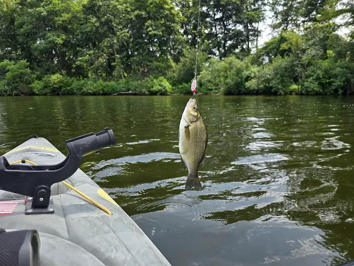 Red Breeze Private Camp Site Picture 3