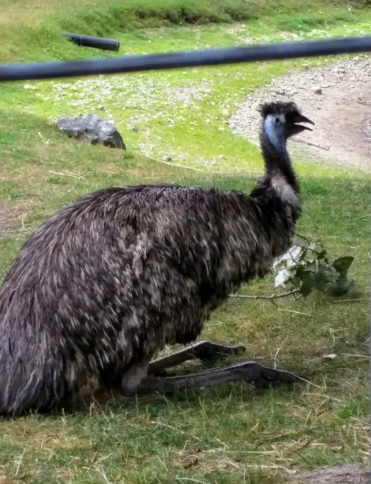 Sleepy Hollow Lake Picture 4