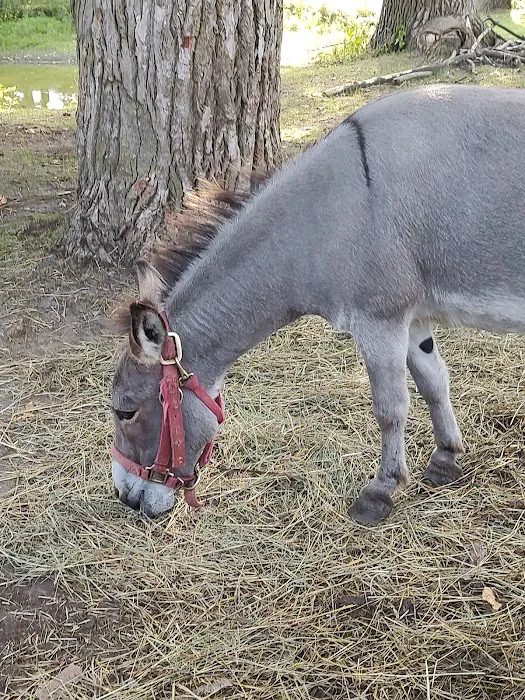 Sleepy Hollow Lake Picture 6