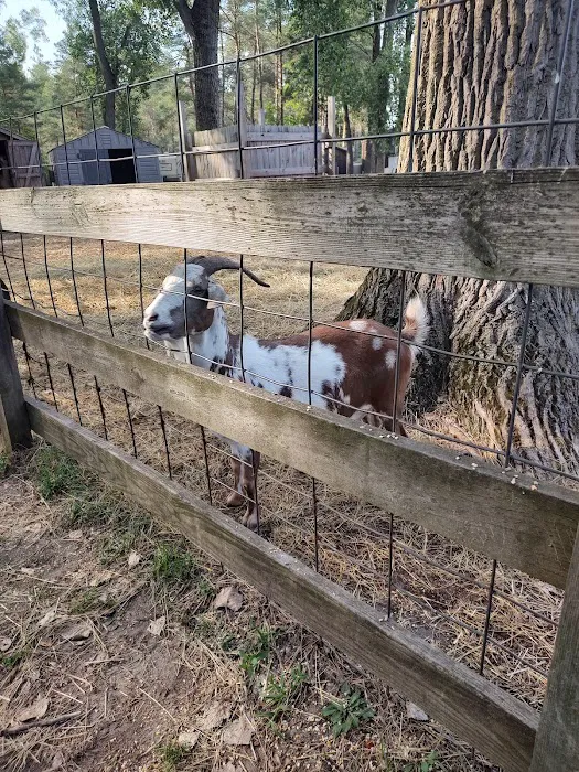 Sleepy Hollow Lake Picture 5