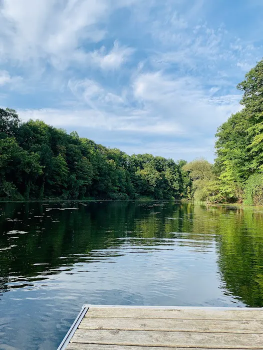 Riverview Camp Ground & Marina Picture 9