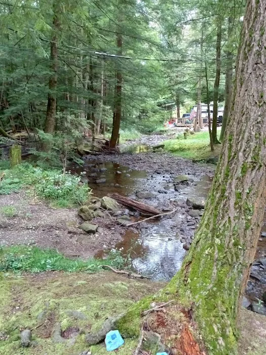 Whispering Winds Campground and Cabins Picture 4