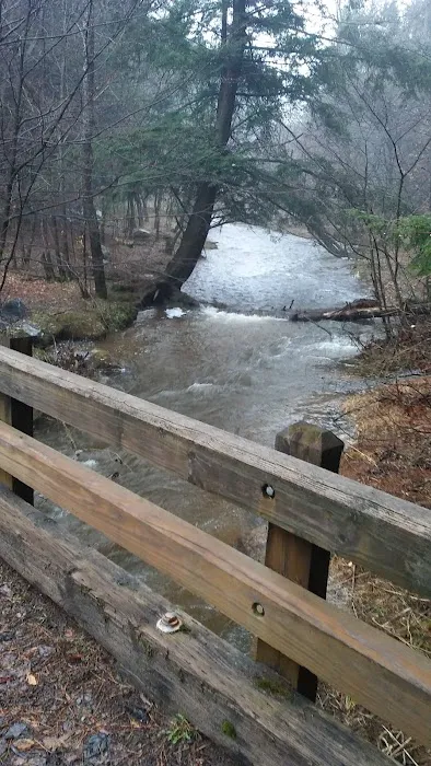 Kelly Pines Equestrian Campground Picture 5