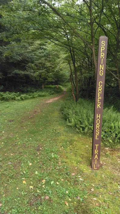 Kelly Pines Equestrian Campground Picture 7