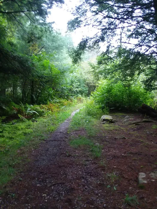 Kelly Pines Equestrian Campground Picture 4