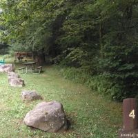 Kelly Pines Equestrian Campground ico