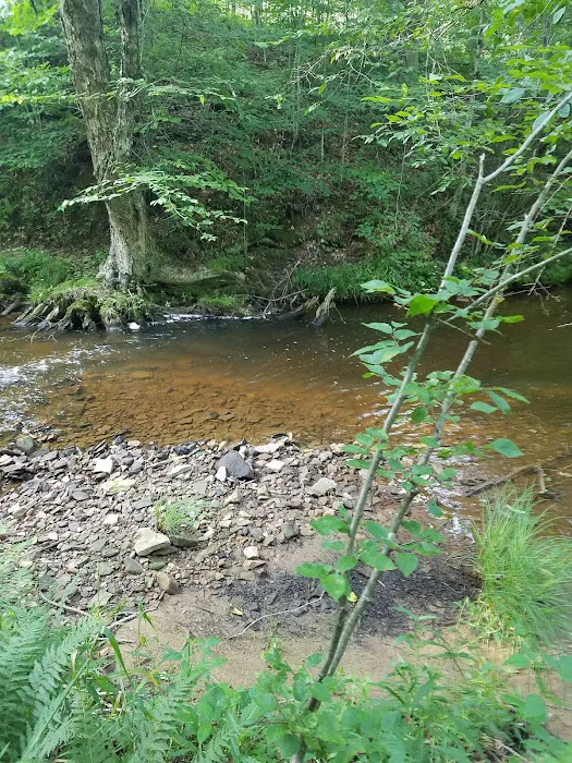 Kelly Pines Equestrian Campground Picture 2