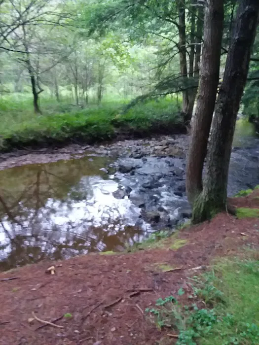 Kelly Pines Equestrian Campground Picture 6