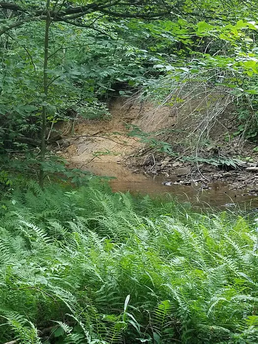 Kelly Pines Equestrian Campground Picture 3