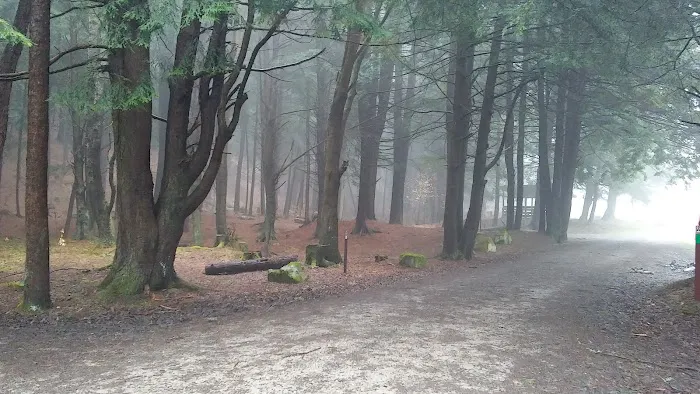 Kelly Pines Equestrian Campground Picture 9