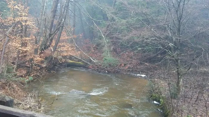 Kelly Pines Equestrian Campground Picture 8