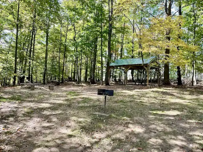 Lake City Cabin Picture 3