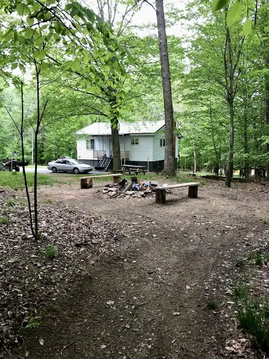 Lake City Cabin Picture 5