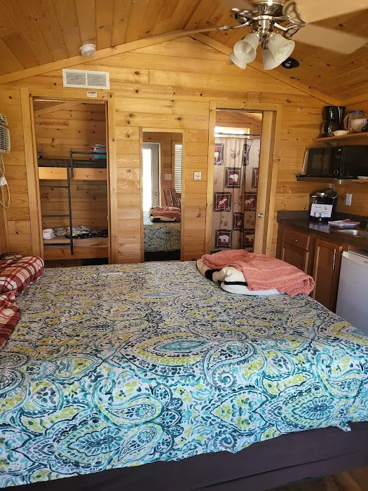 Medina / Wildwood Lake KOA Holiday Picture 2