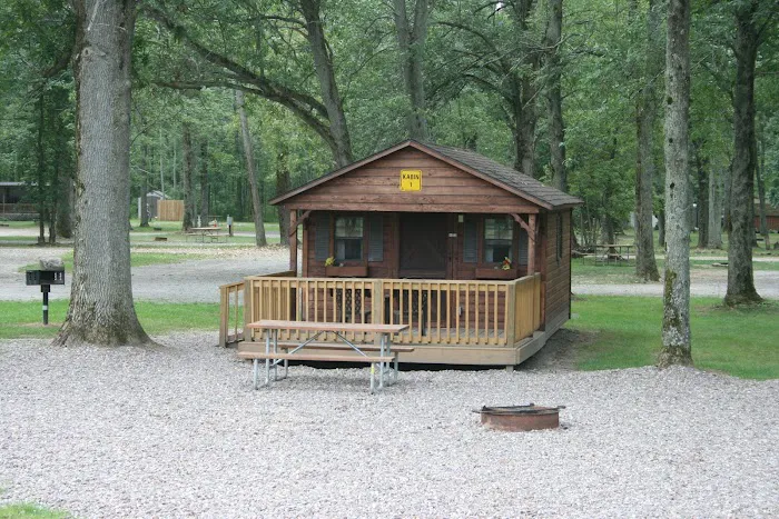 Medina / Wildwood Lake KOA Holiday Picture 4