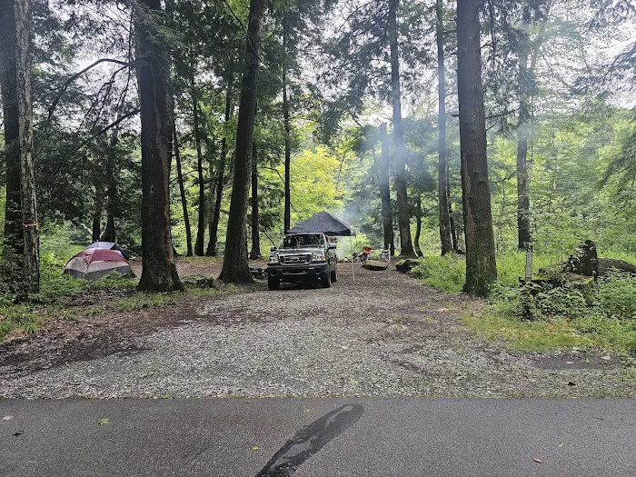 Clarion River Campground Picture 7